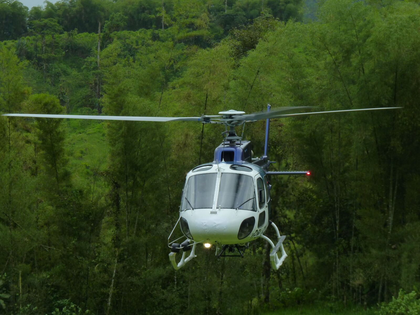 Panasonic Lumix DMC-FZ35 (Lumix DMC-FZ38) sample photo. Helicopter, flight, jungle photography