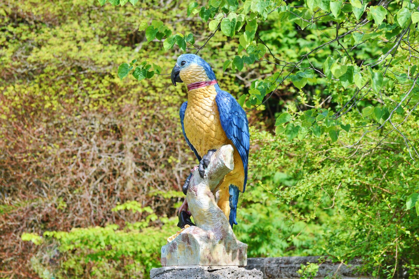Nikon D3200 sample photo. Parrot, figure, deco photography