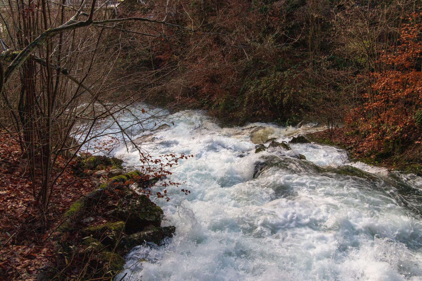 Canon EOS 6D Mark II sample photo. Torrent, autumn, watercourse photography