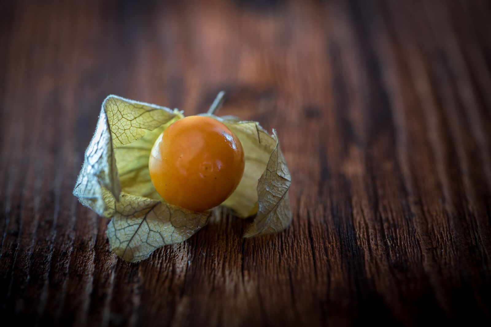 Nikon D750 sample photo. Physalis, physalis peruviana, cape photography
