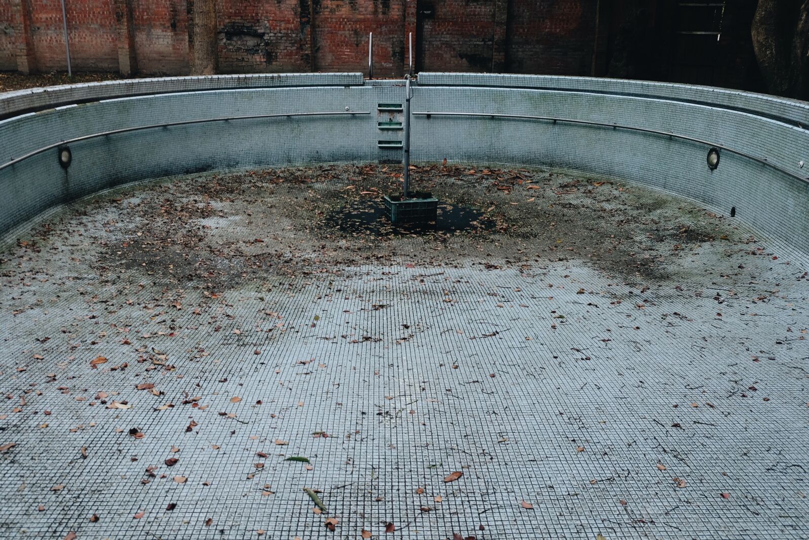 Fujifilm X-T10 sample photo. Abandon, abandoned, dry, leaves photography
