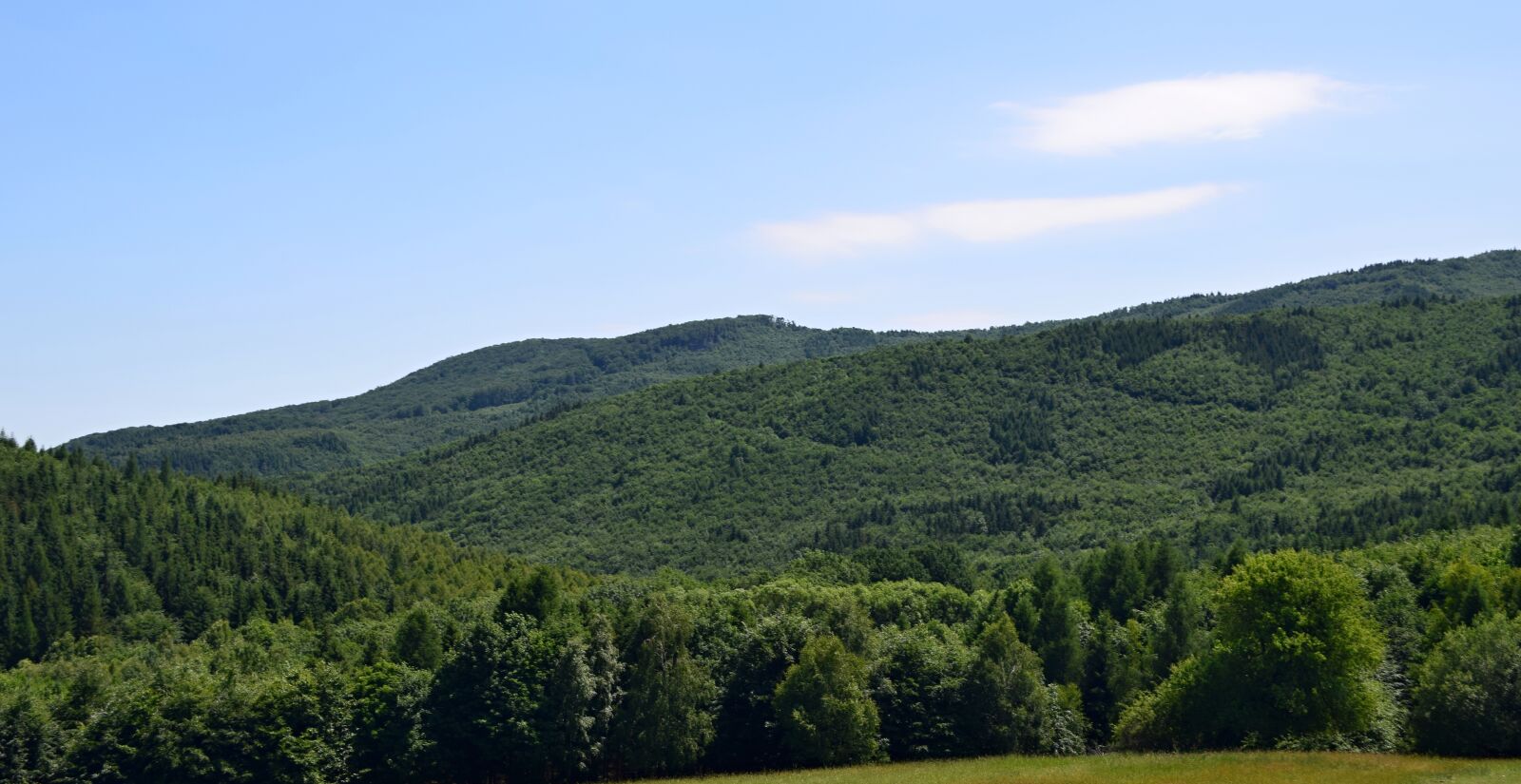 Nikon D5300 sample photo. Forests, mountains, country photography