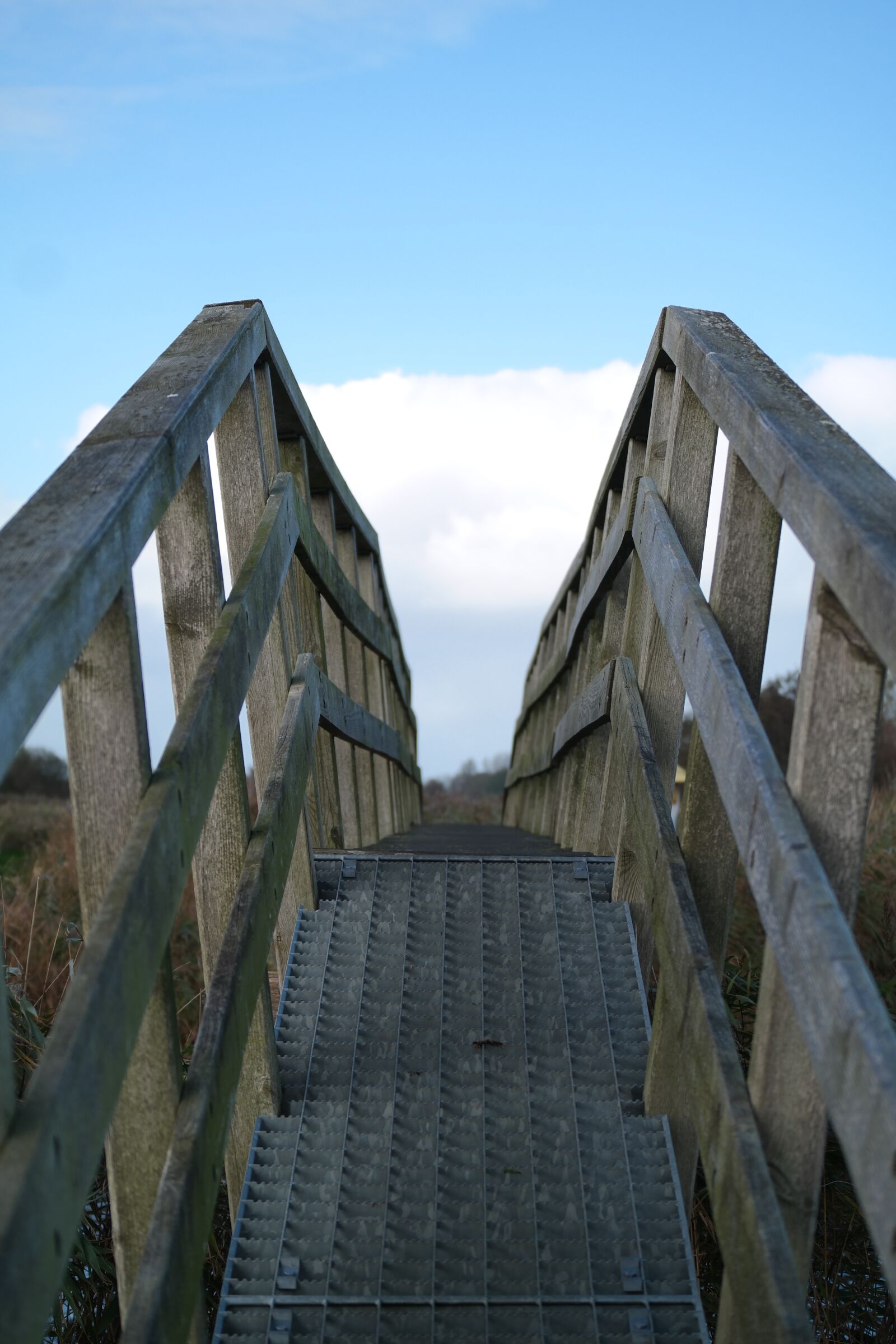 NX 50-200mm F4-5.6 sample photo. Wooden bridge, web, away photography
