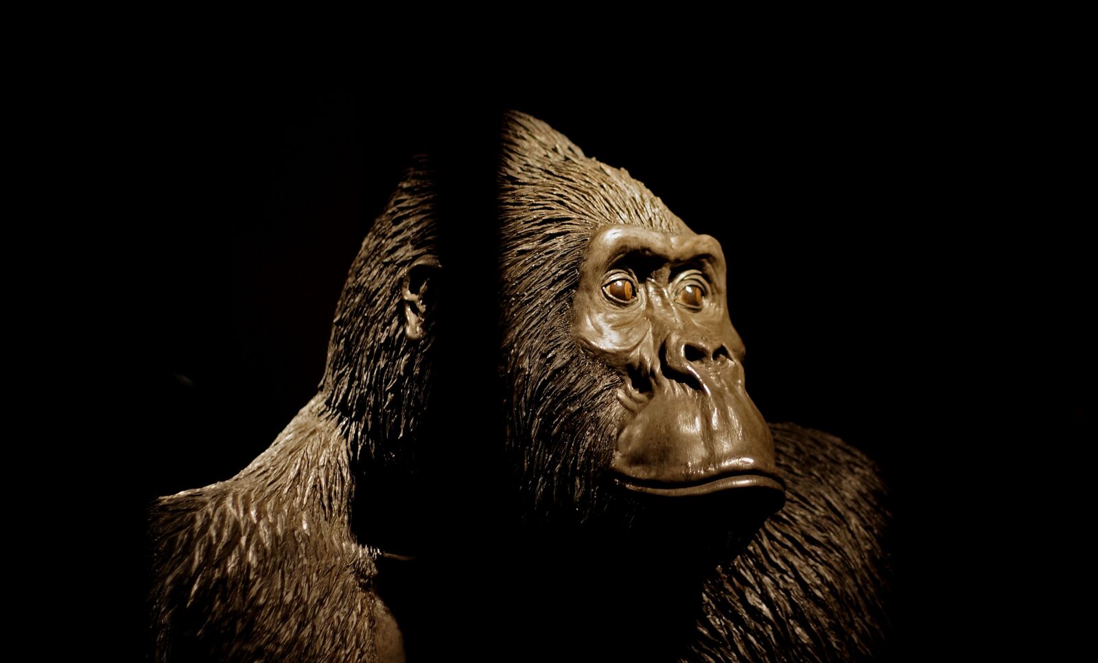 Canon EOS 350D (EOS Digital Rebel XT / EOS Kiss Digital N) sample photo. Cage, caged, gorilla photography
