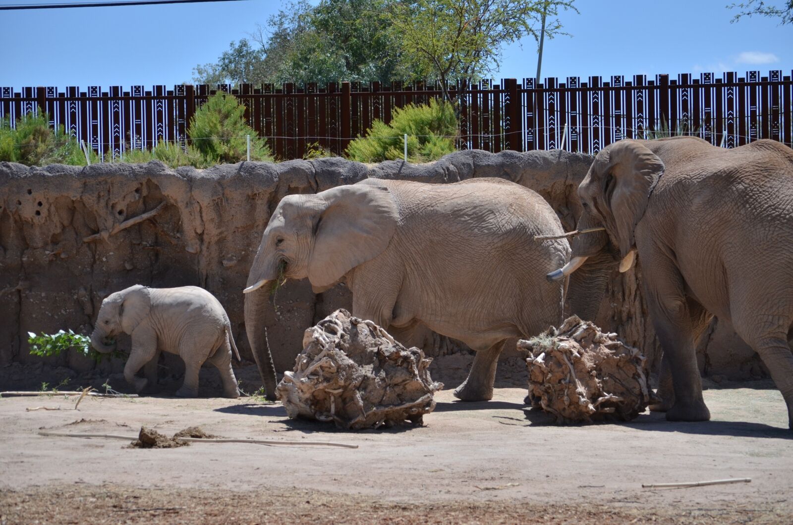 Nikon D5100 sample photo. Elephant, elephants, family photography