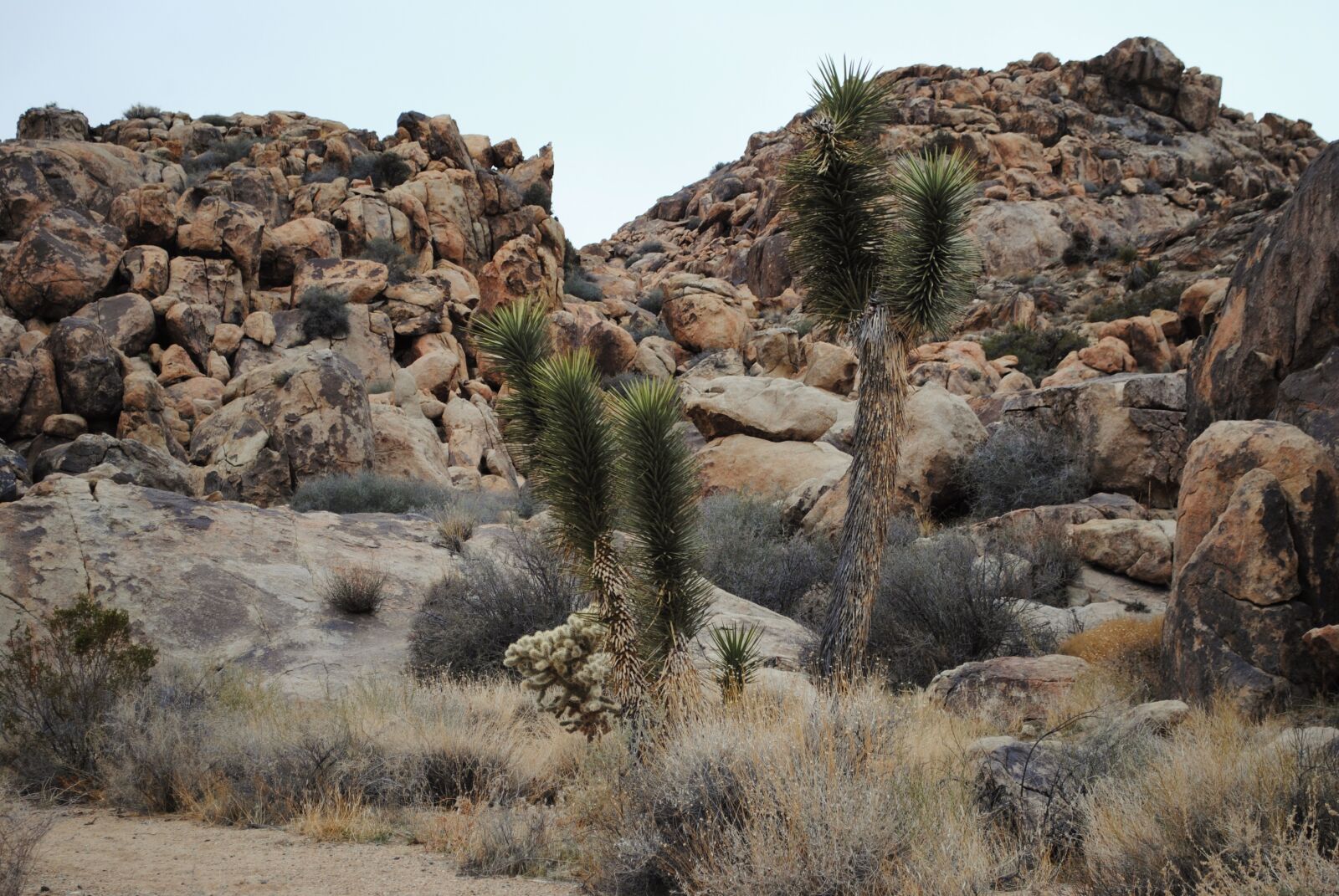 Nikon D3000 sample photo. Nature, rock, landscape photography