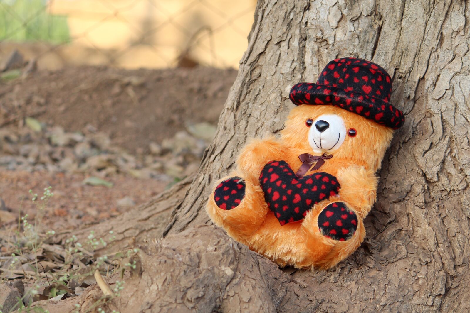 Canon EOS 700D (EOS Rebel T5i / EOS Kiss X7i) sample photo. Teddy bear, teddy image photography