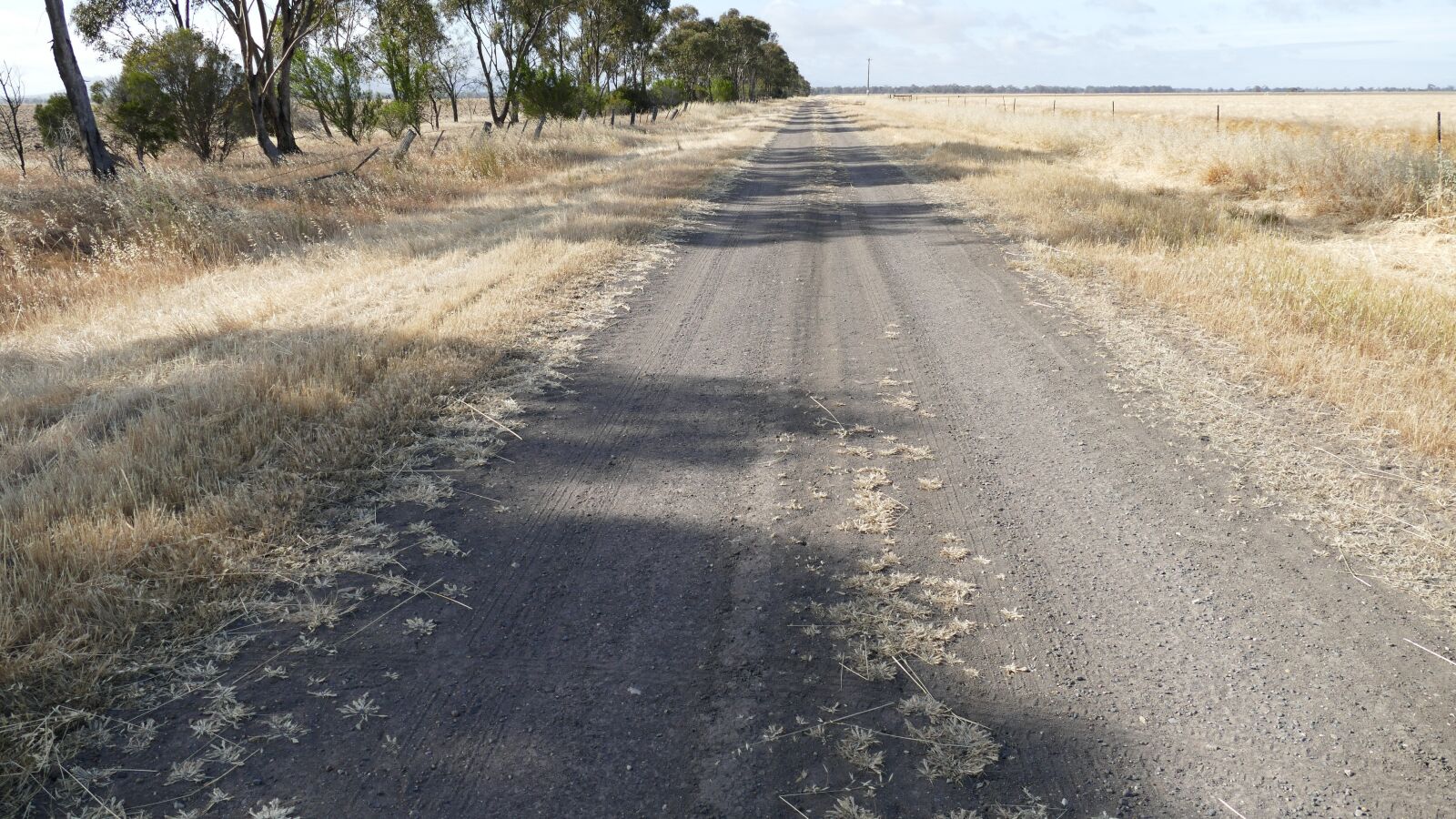 Panasonic Lumix DMC-FZ1000 sample photo. Country, rural, australia photography