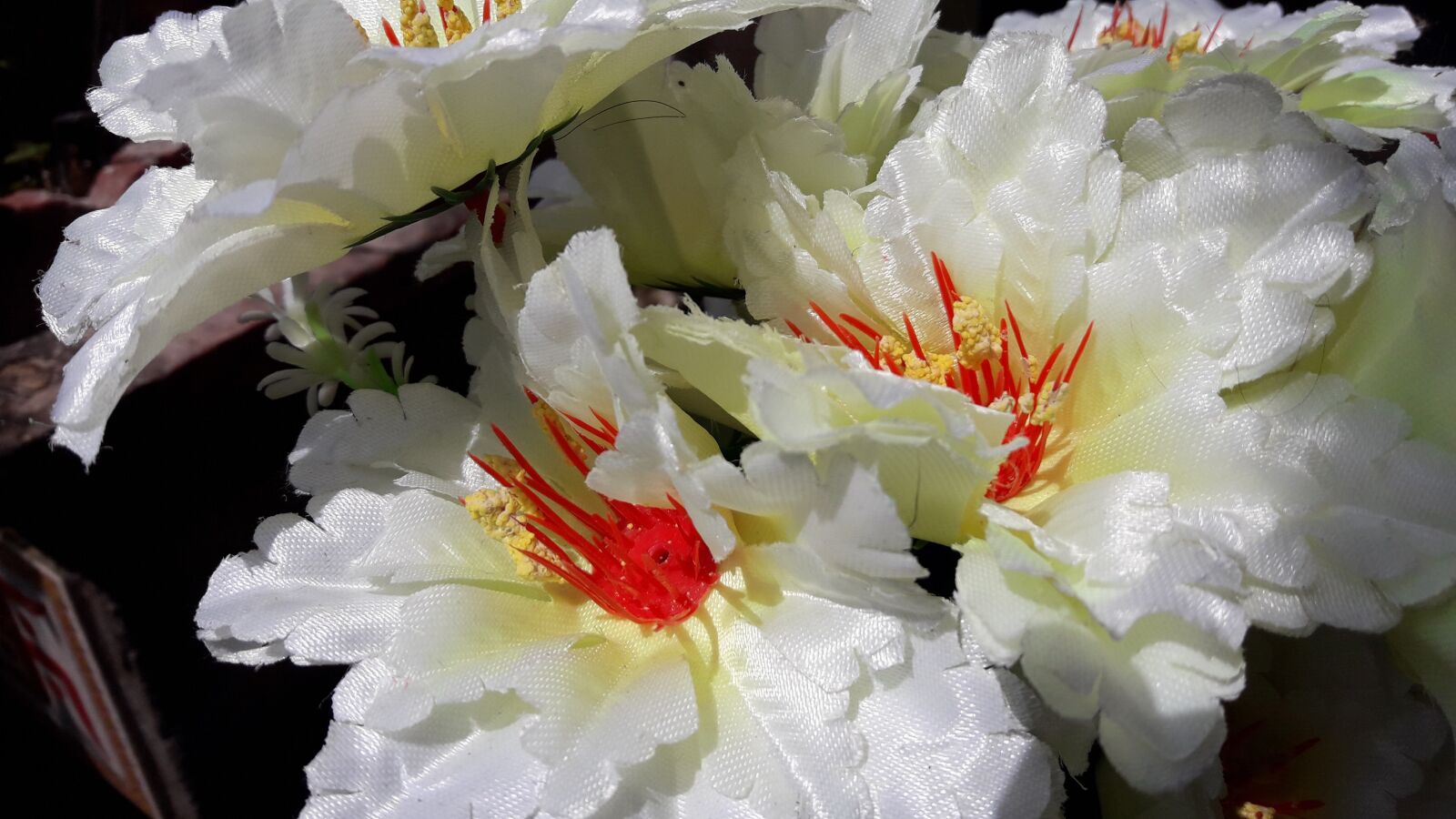 Samsung Galaxy J7 Neo sample photo. Flower images wallpaper, flower photography