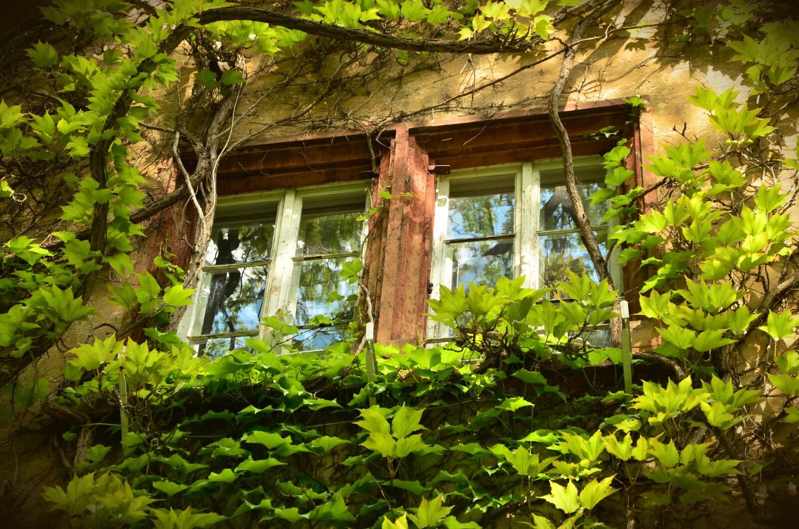 Nikon D5100 sample photo. Window, old, weathered photography