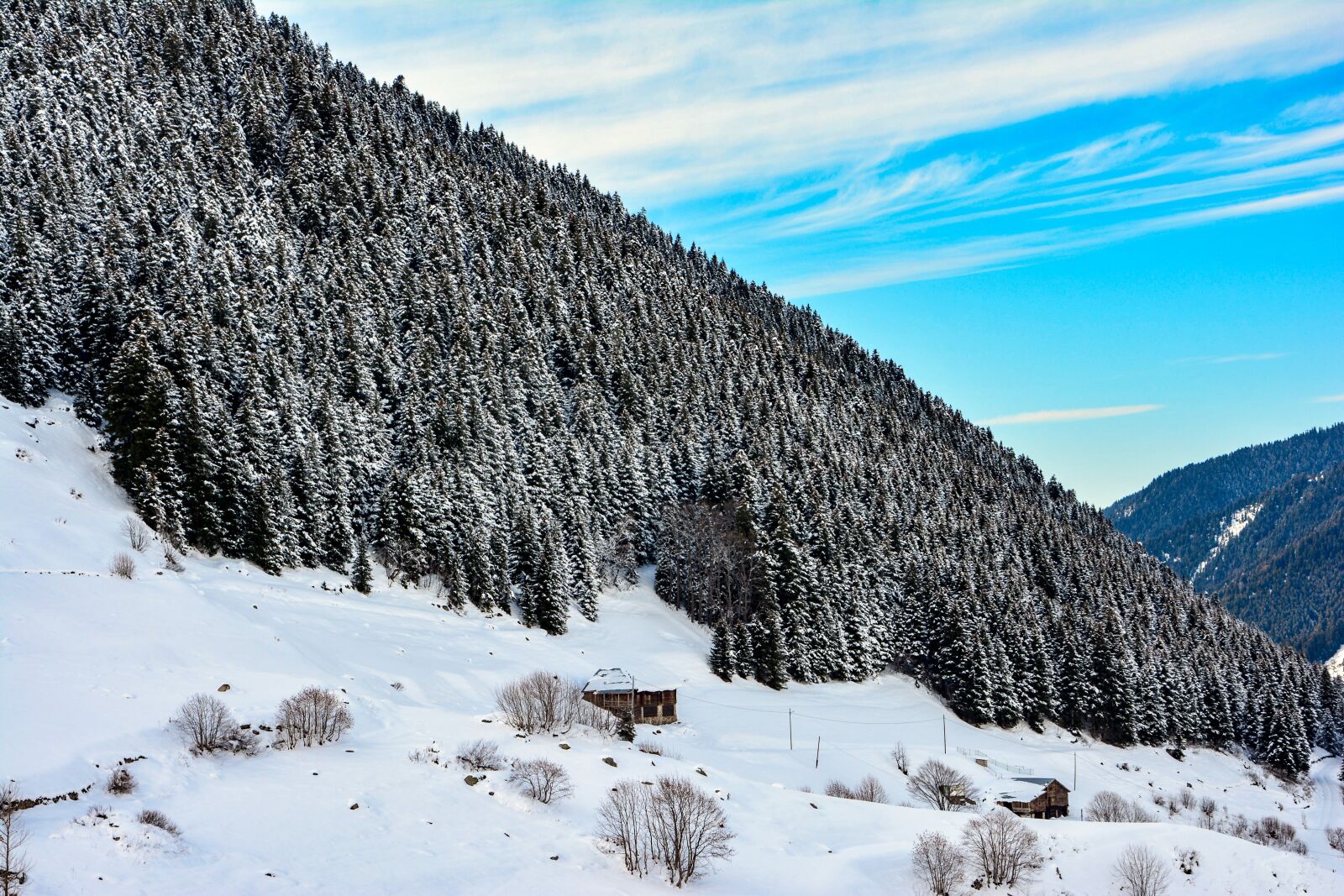 Nikon D7100 sample photo. Snow, mountain, forest photography