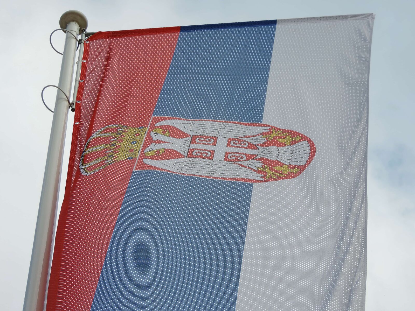 Nikon Coolpix P520 sample photo. Emblem, flag, heraldry, independence photography