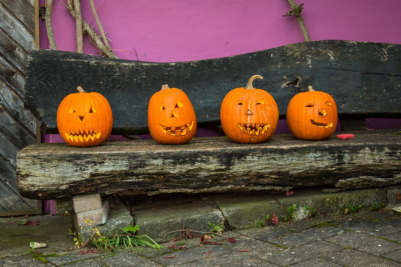 Canon EF 24-105mm F4L IS USM sample photo. Pumpkin, halloween, autumn photography