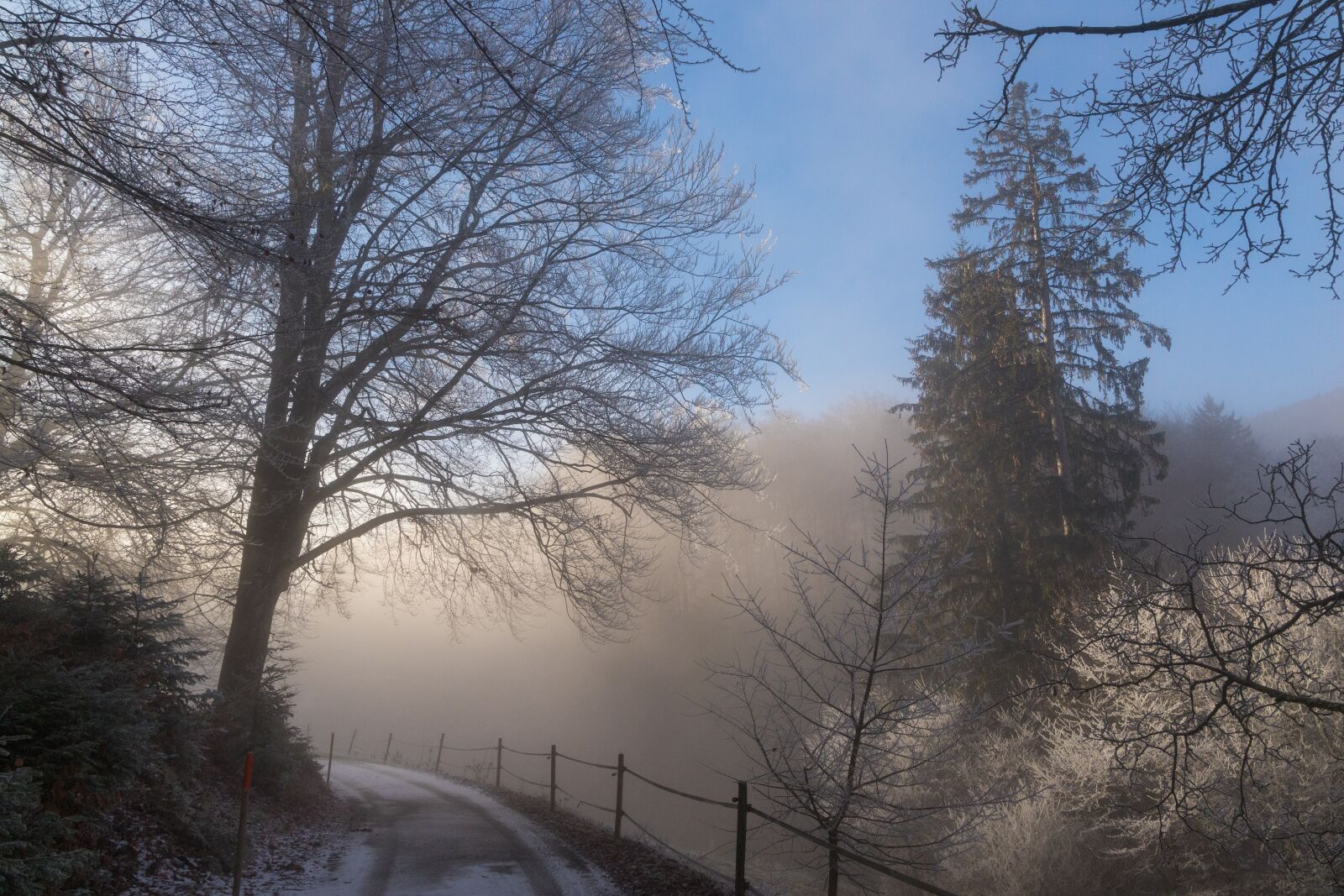 Canon EOS 6D Mark II sample photo. Fog, haze, mood photography