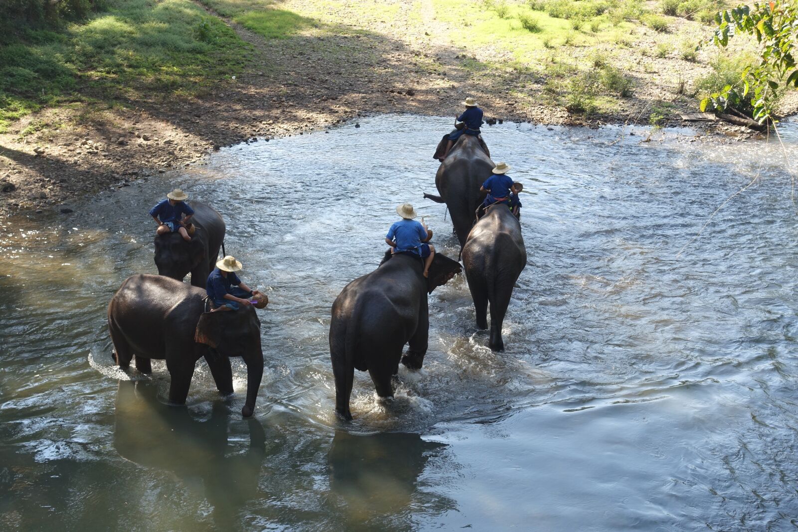 Sony Cyber-shot DSC-RX100 III sample photo. Thailand, elephants, river photography