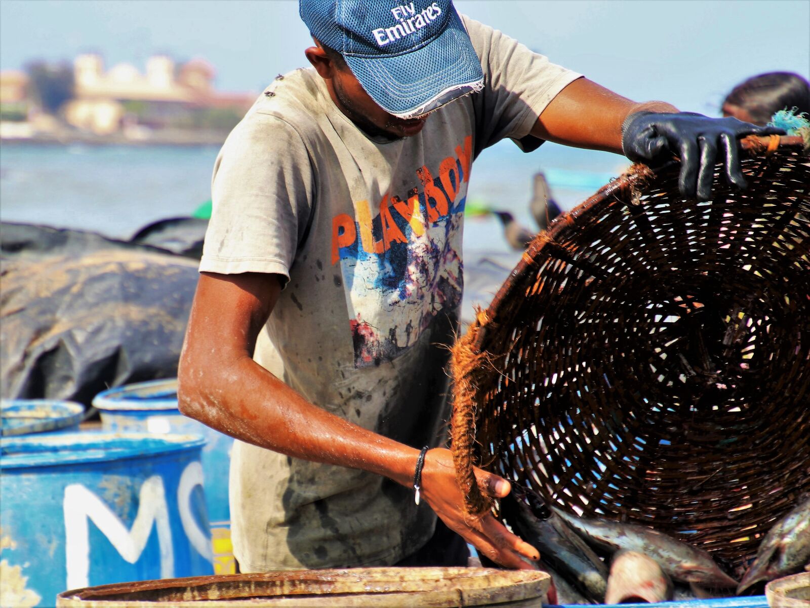 Canon EOS 80D sample photo. Fish market, poverty, people photography
