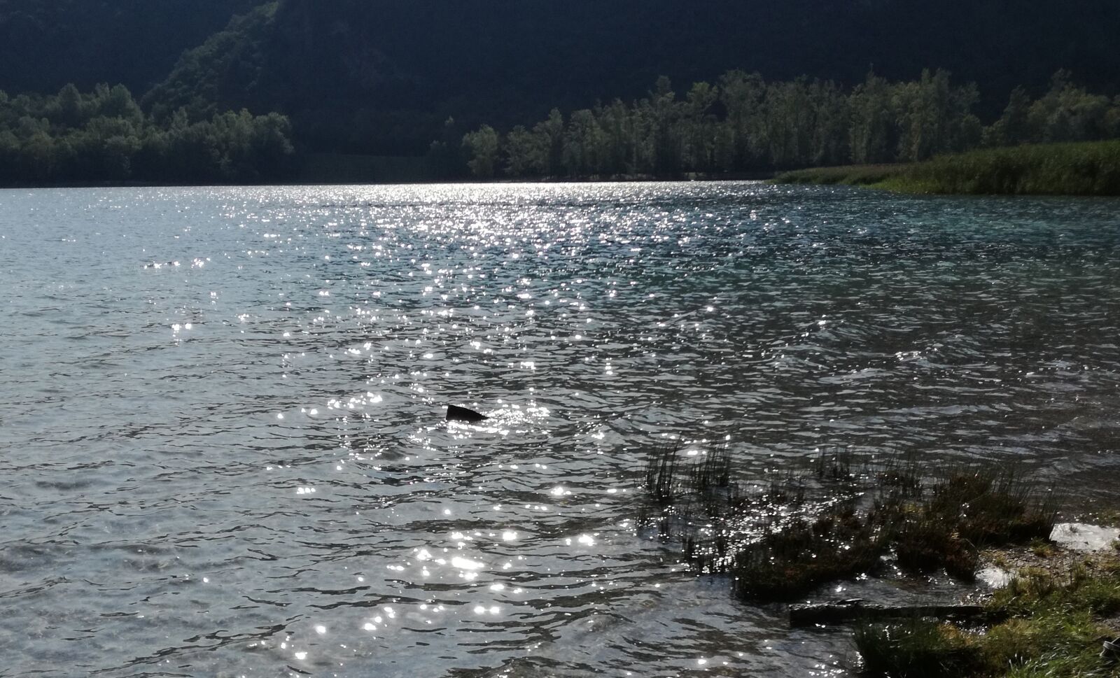 HUAWEI P9 LITE sample photo. Lake, lakes, nature photography