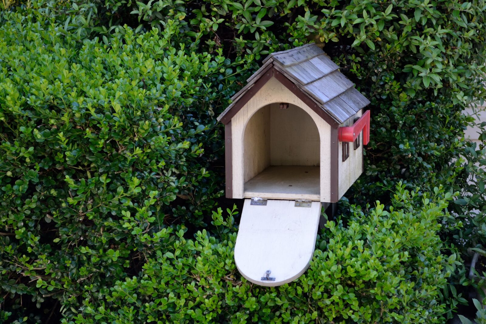 Nikon D3100 sample photo. Bird house, garden, bird photography