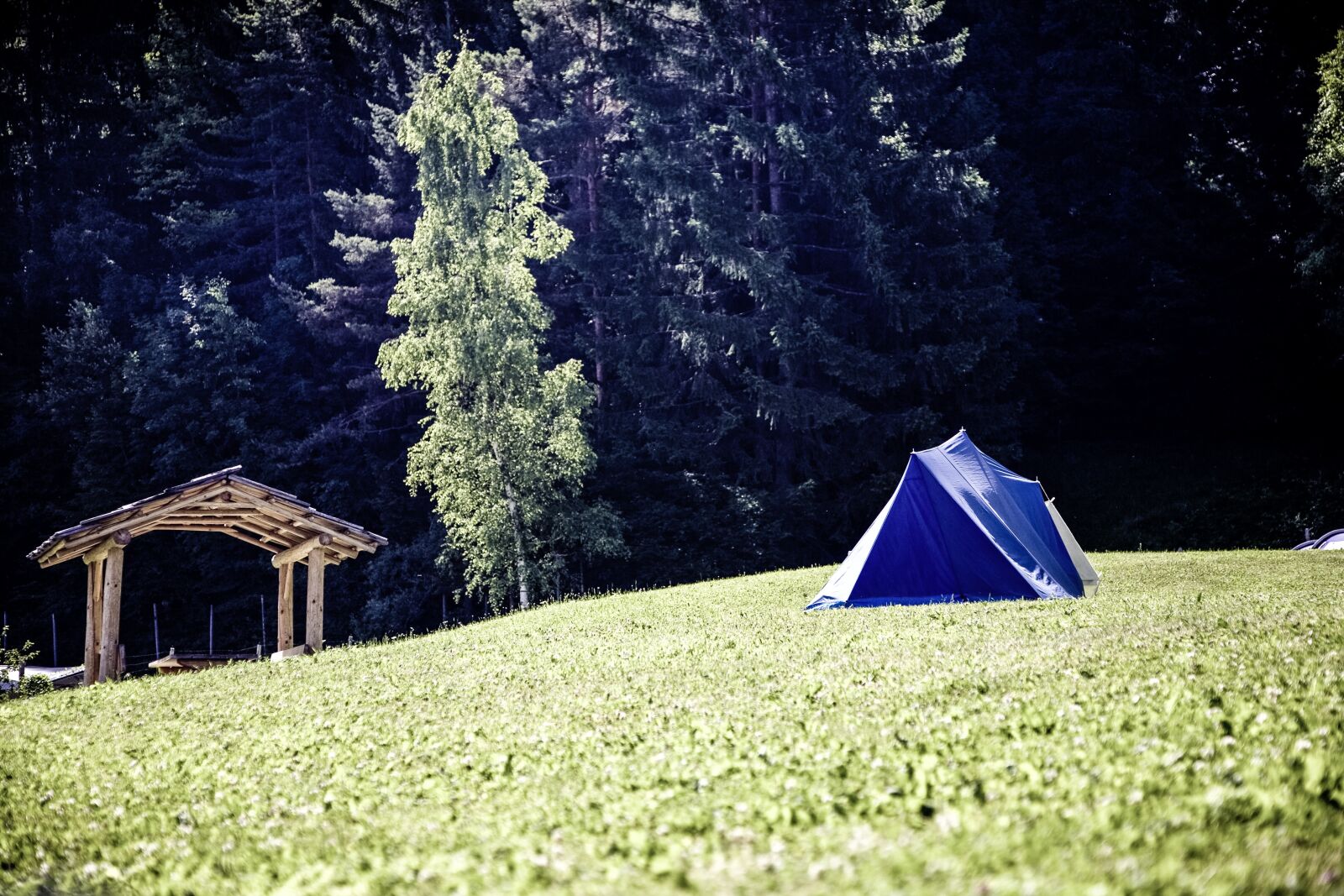 Canon EOS 5D + Canon EF 24-105mm F4L IS USM sample photo. Tent, camp, camping photography