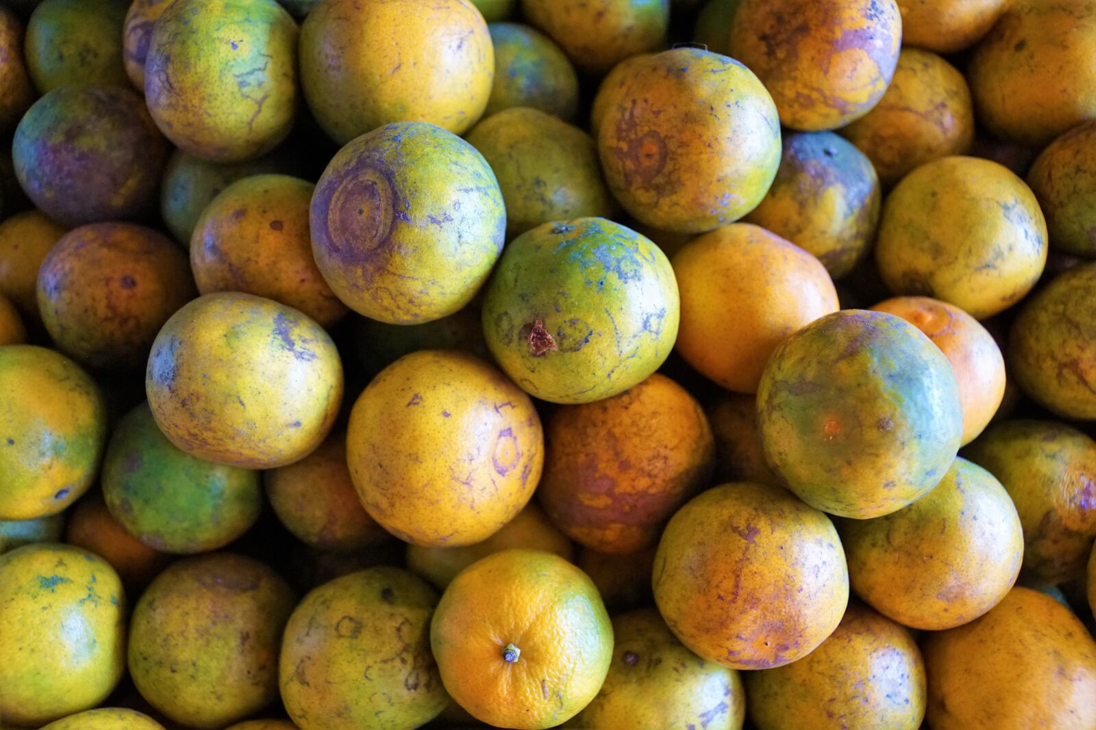 Sony ILCA-77M2 + Sony DT 16-50mm F2.8 SSM sample photo. Food, fruit, tropical photography