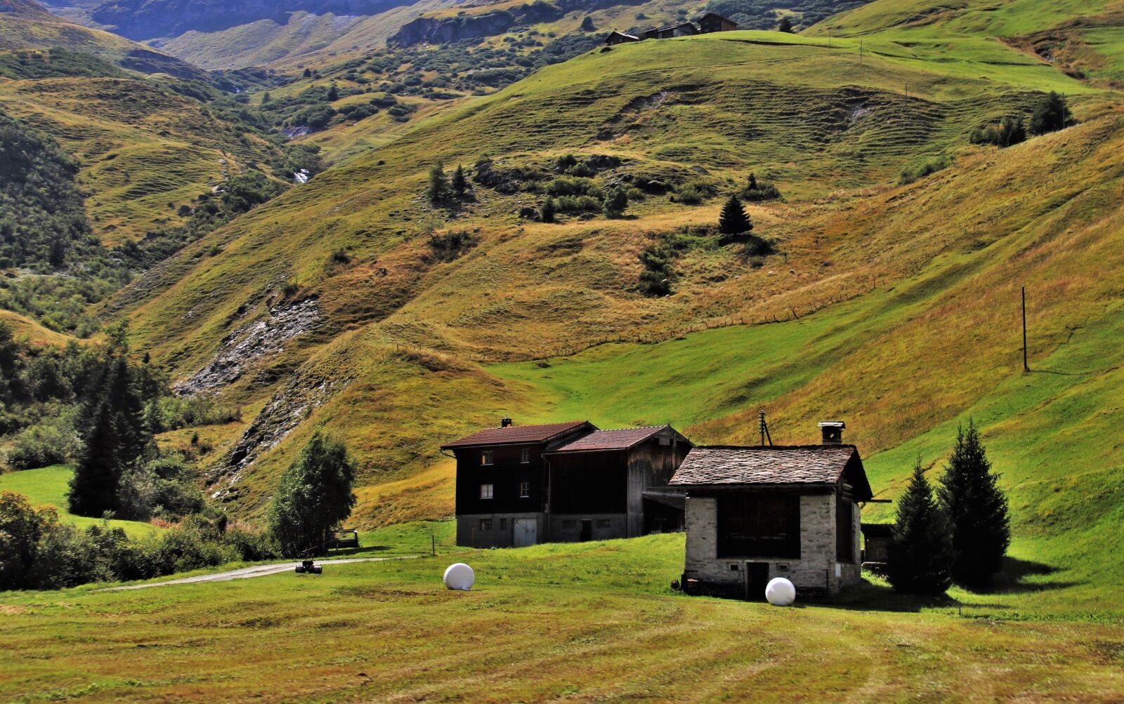 Canon EOS 80D sample photo. Hill, pasture land, morning photography