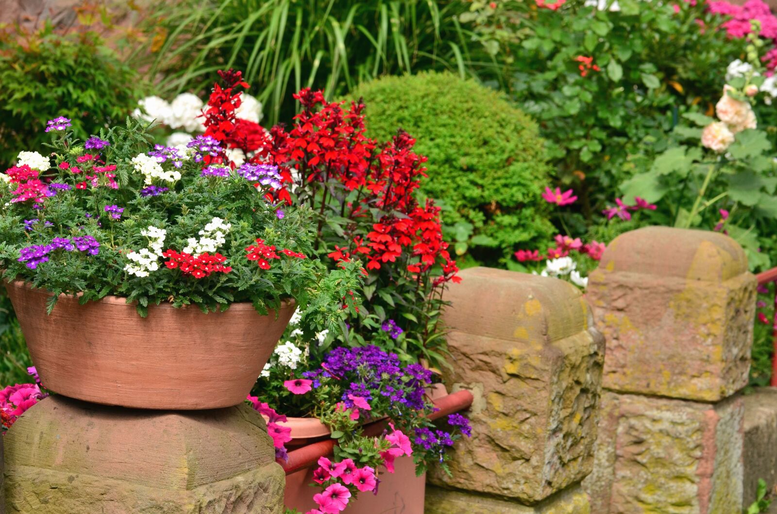 Nikon D5100 sample photo. Flower, flowering, flowerpot, ceramics photography