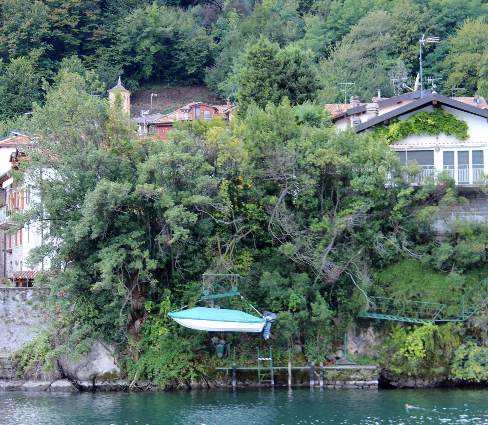 Canon EOS 600D (Rebel EOS T3i / EOS Kiss X5) sample photo. Amazing, anaconda, beautiful, blue photography