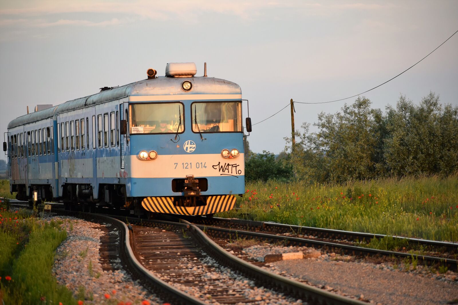Nikon D3300 sample photo. Train, railway, red poppys photography
