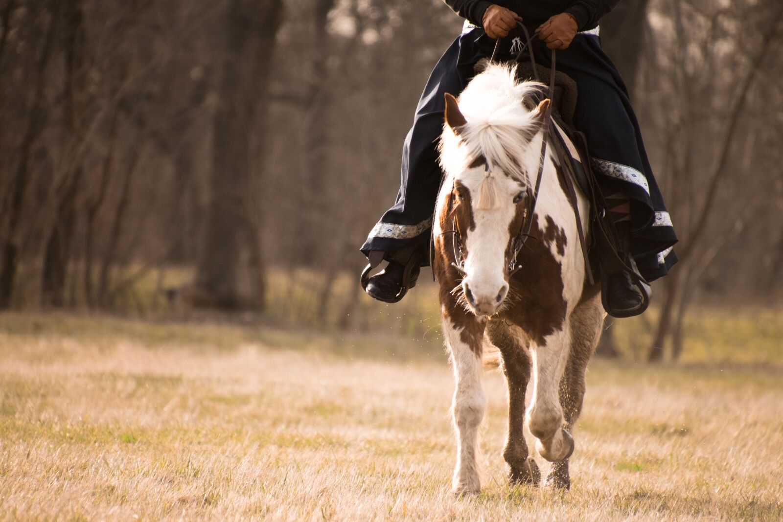 Nikon D3300 sample photo. Western, ride, rock photography