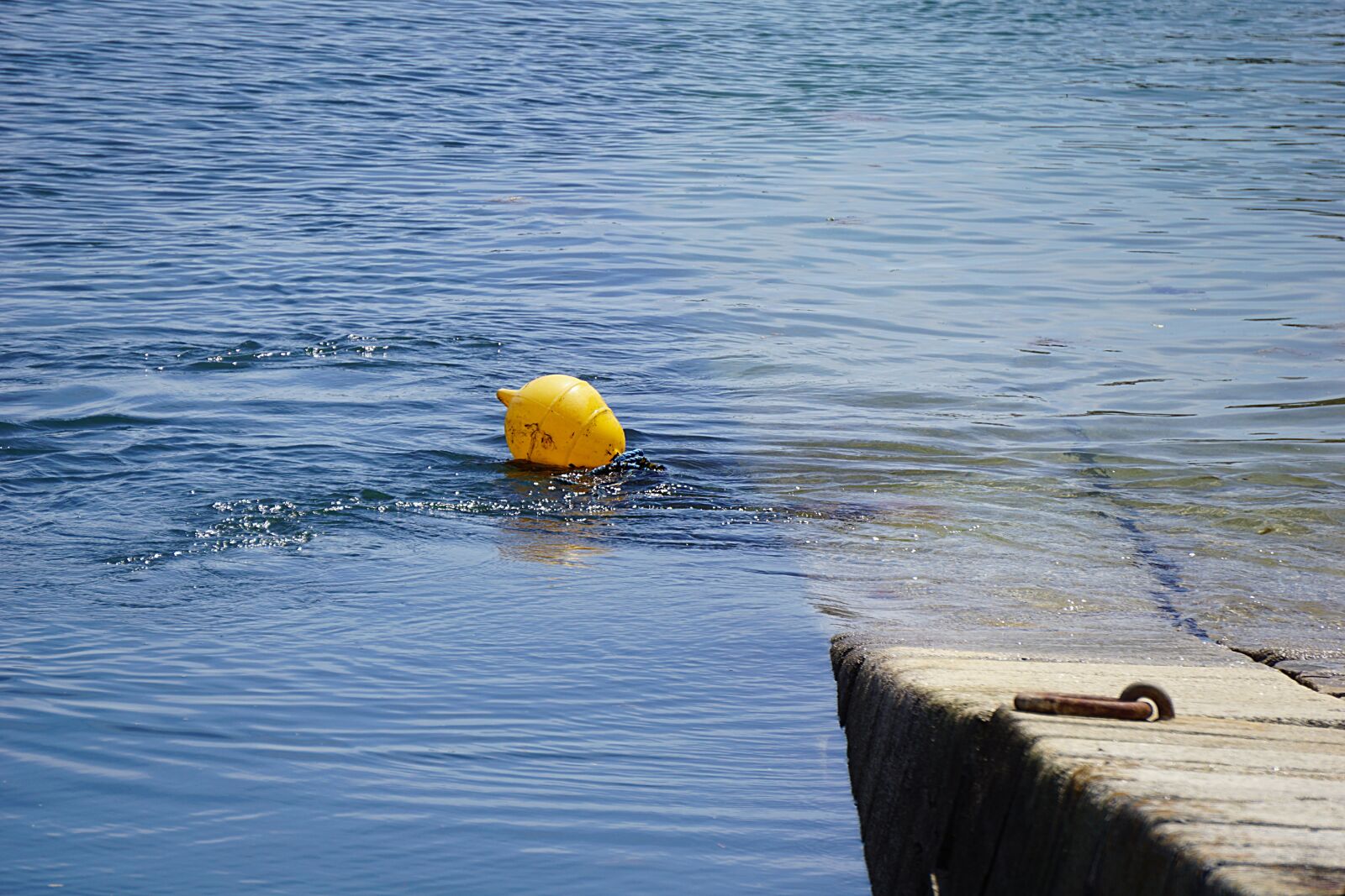Sony a6000 sample photo. Float, water, blue photography