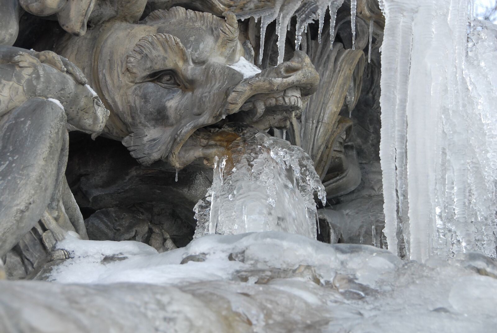 Nikon D200 sample photo. Dragon, statue, ice photography