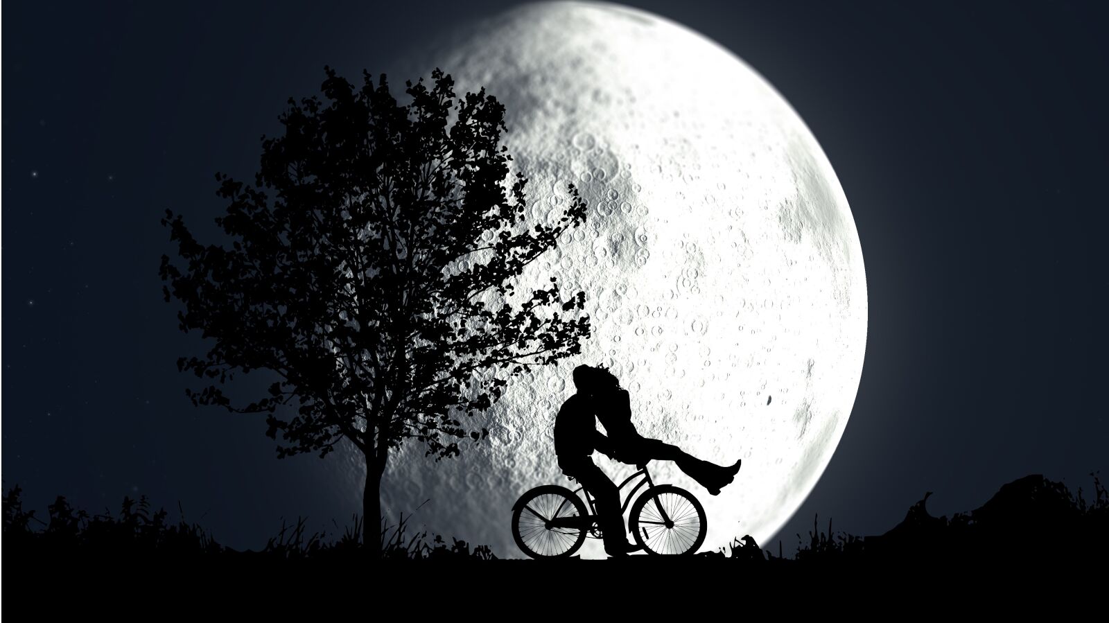 Panasonic Lumix DMC-FZ200 sample photo. Night, moon, couple photography