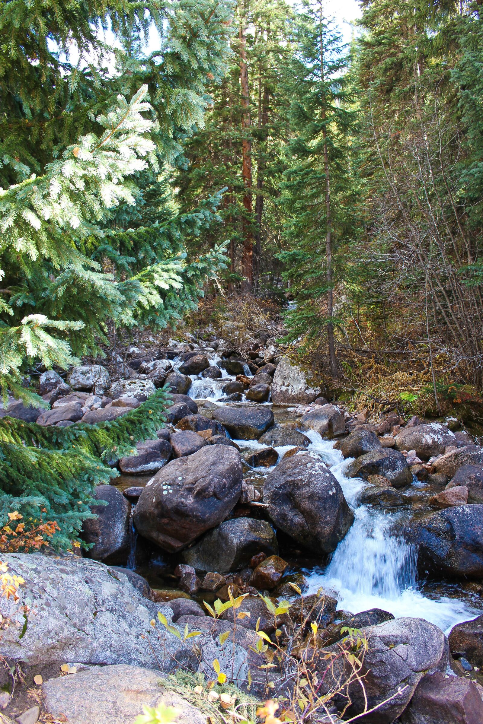 Canon EOS 1200D (EOS Rebel T5 / EOS Kiss X70 / EOS Hi) sample photo. Colorado, creek, water photography