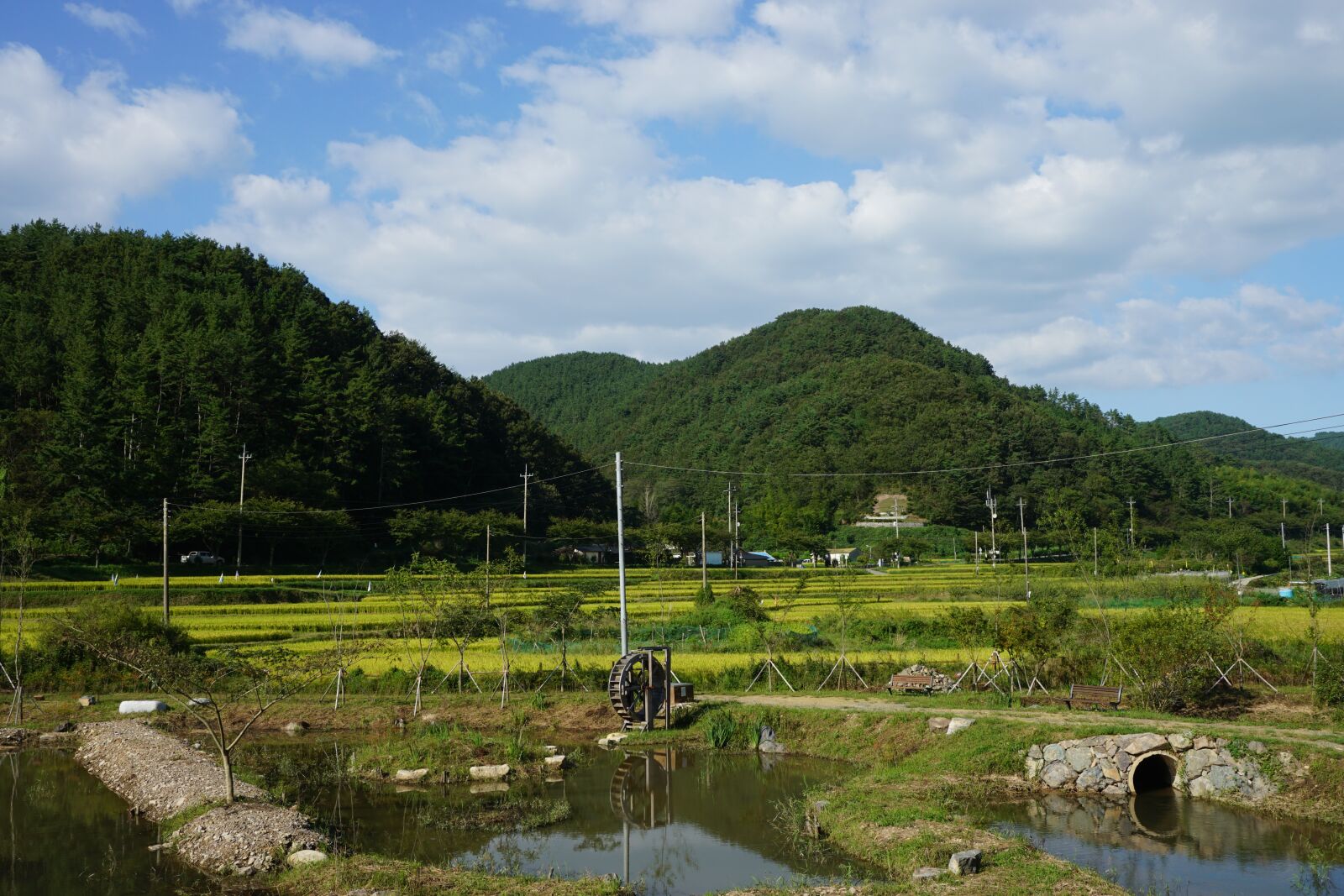 Sony E 16-50mm F3.5-5.6 PZ OSS sample photo. Landscape, nature, park photography