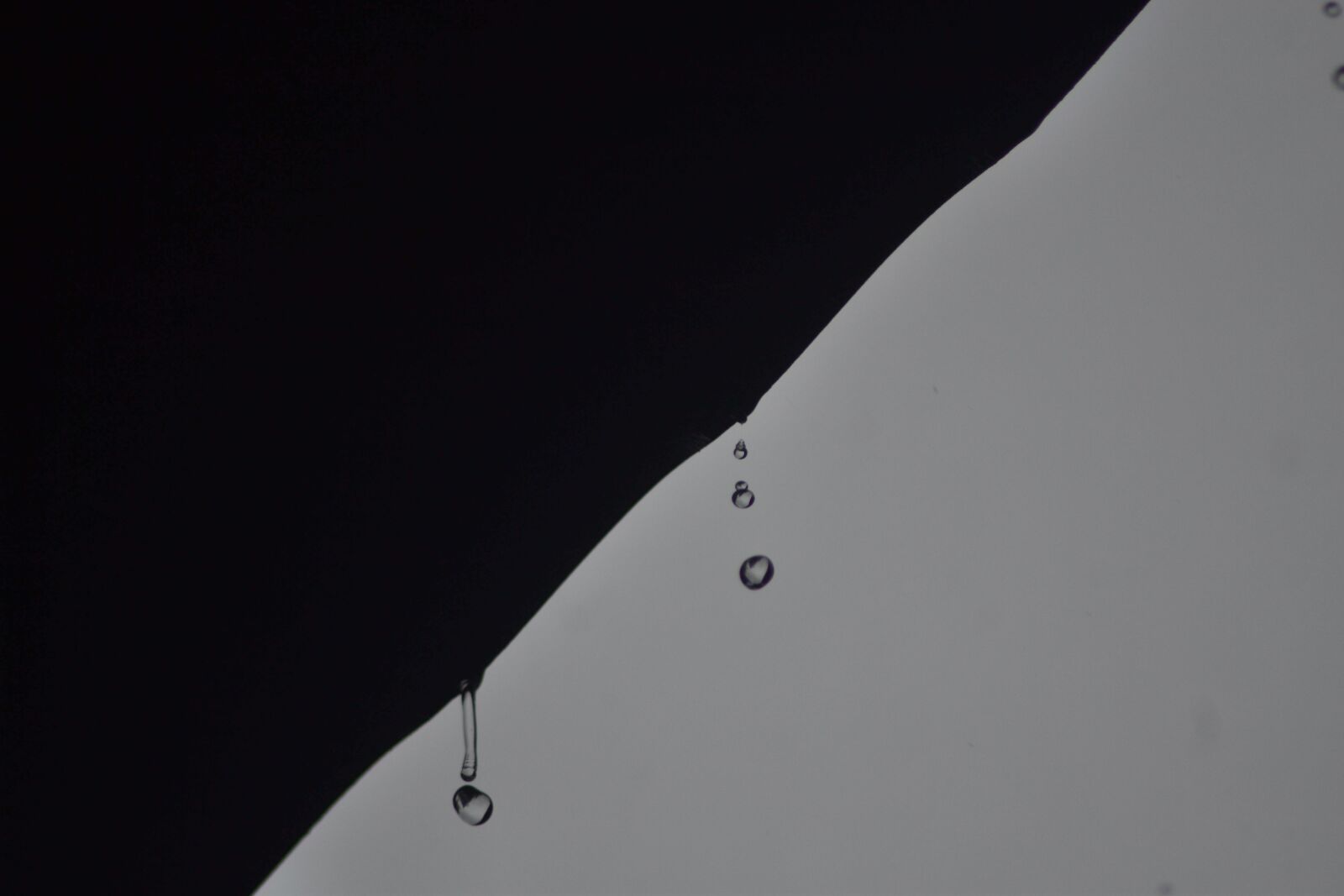 Nikon D3100 sample photo. Black, gray, rain photography