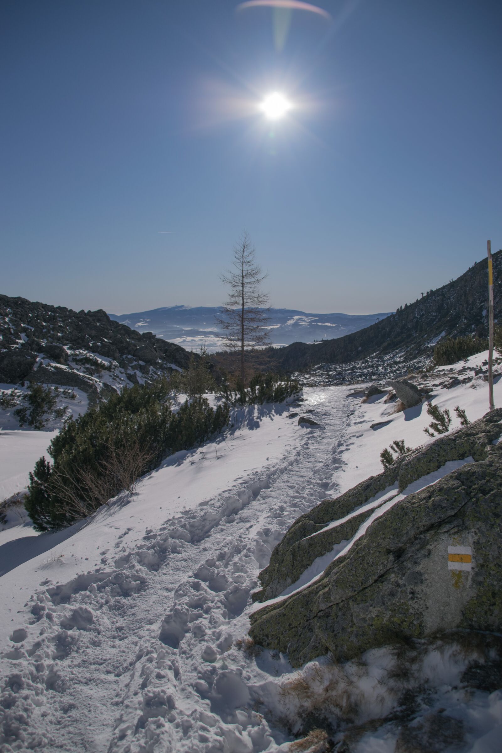 Nikon D5300 sample photo. Winter, snow, frost photography