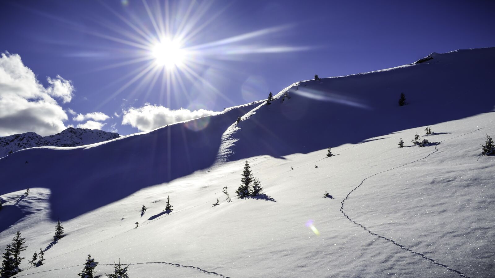 Nikon D5100 sample photo. Snow landscape, winter, snow photography