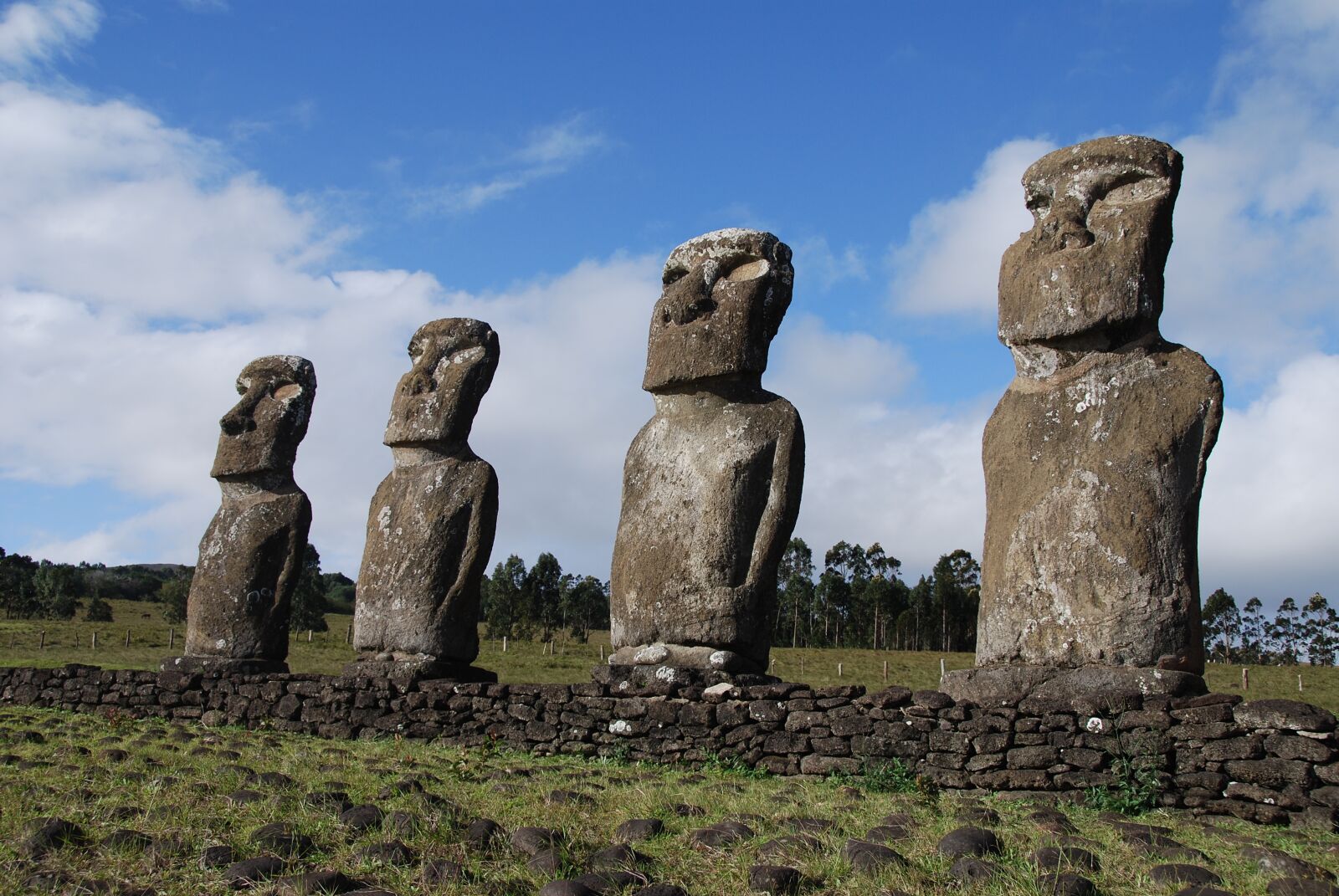Nikon D80 sample photo. Chile, easter island, rapa photography