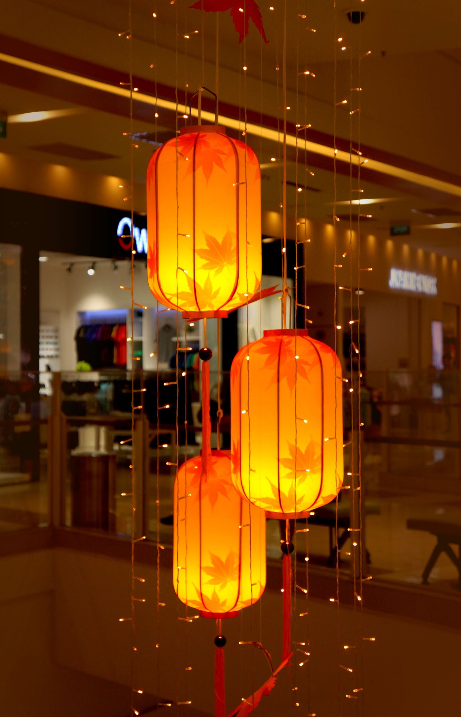 Sony Alpha NEX-F3 + Sony E 18-55mm F3.5-5.6 OSS sample photo. Autumn, the lantern, decorate photography
