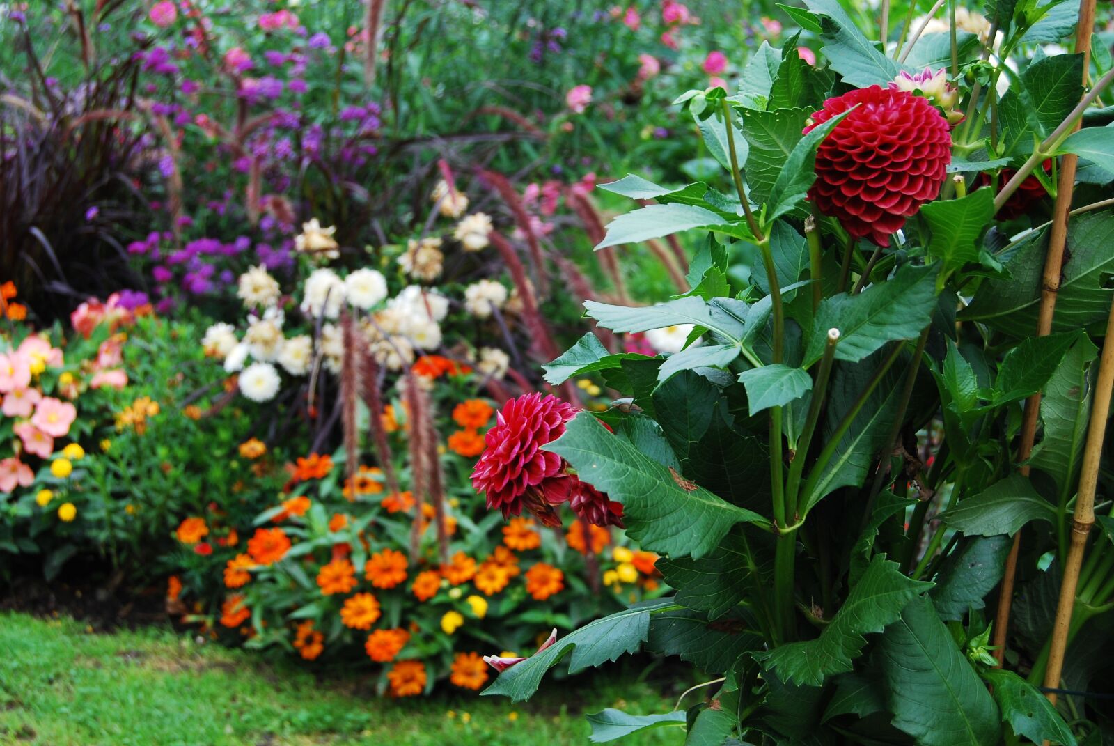 Nikon D80 sample photo. Bad ischl, salzkammergut, garden photography