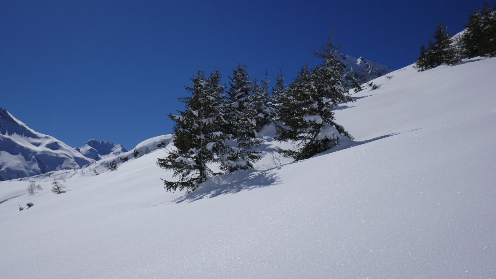 Panasonic DMC-TZ101 sample photo. Snow, winter, cold photography