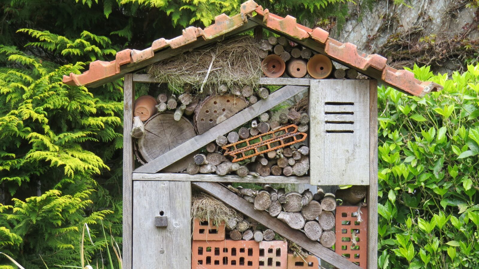 Canon PowerShot SX50 HS sample photo. Insect hotel, garden, nature photography