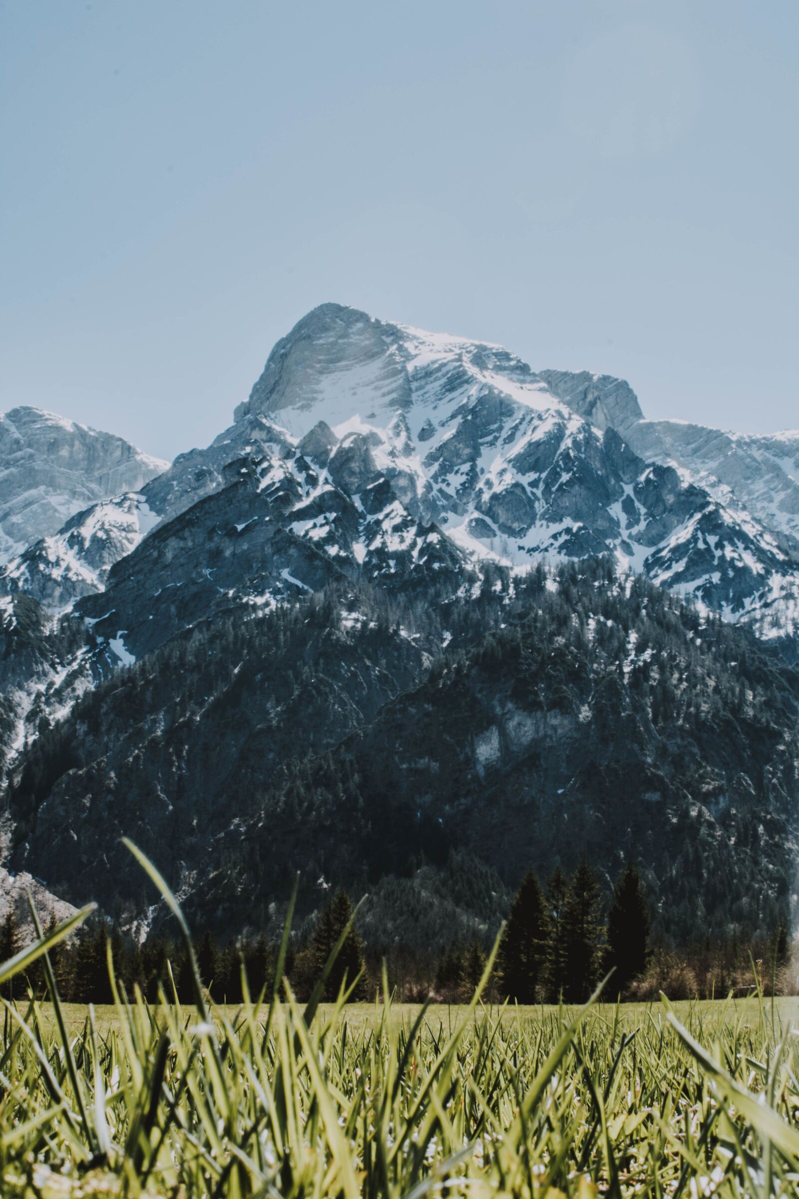 Nikon D5200 sample photo. Nature, landscape, forest photography