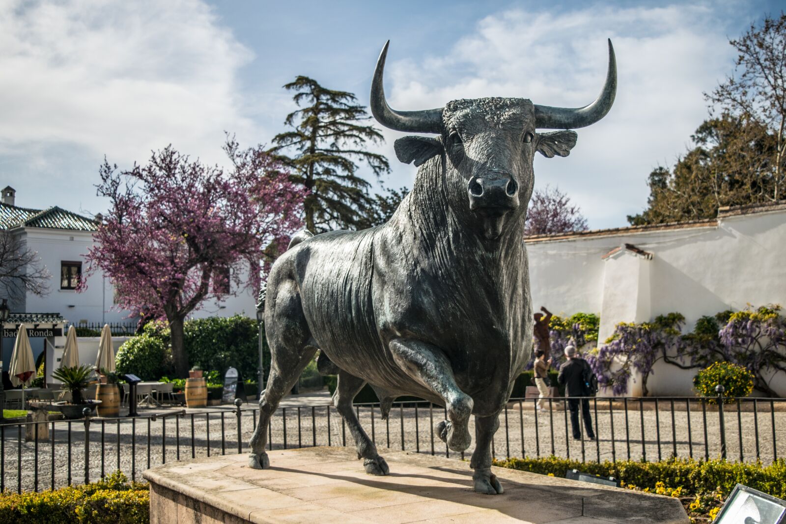 Nikon D3300 sample photo. Toro, round, andalusia photography