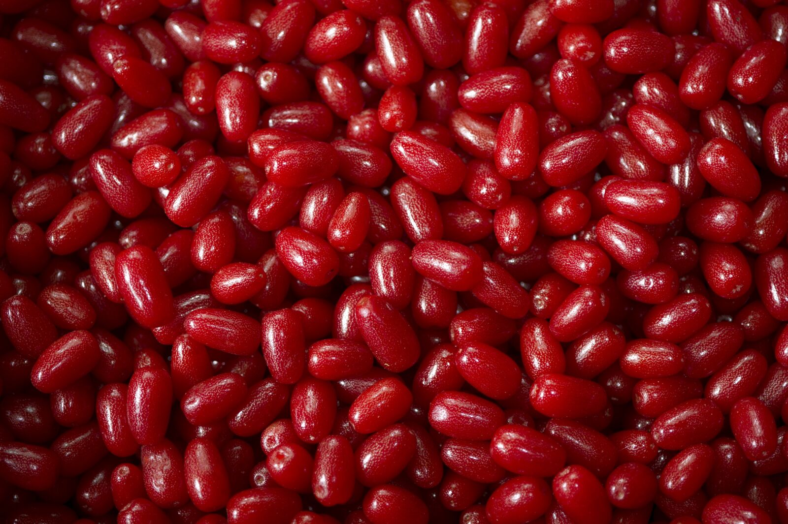 Nikon D3S sample photo. Fruit, bodhi, red berries photography