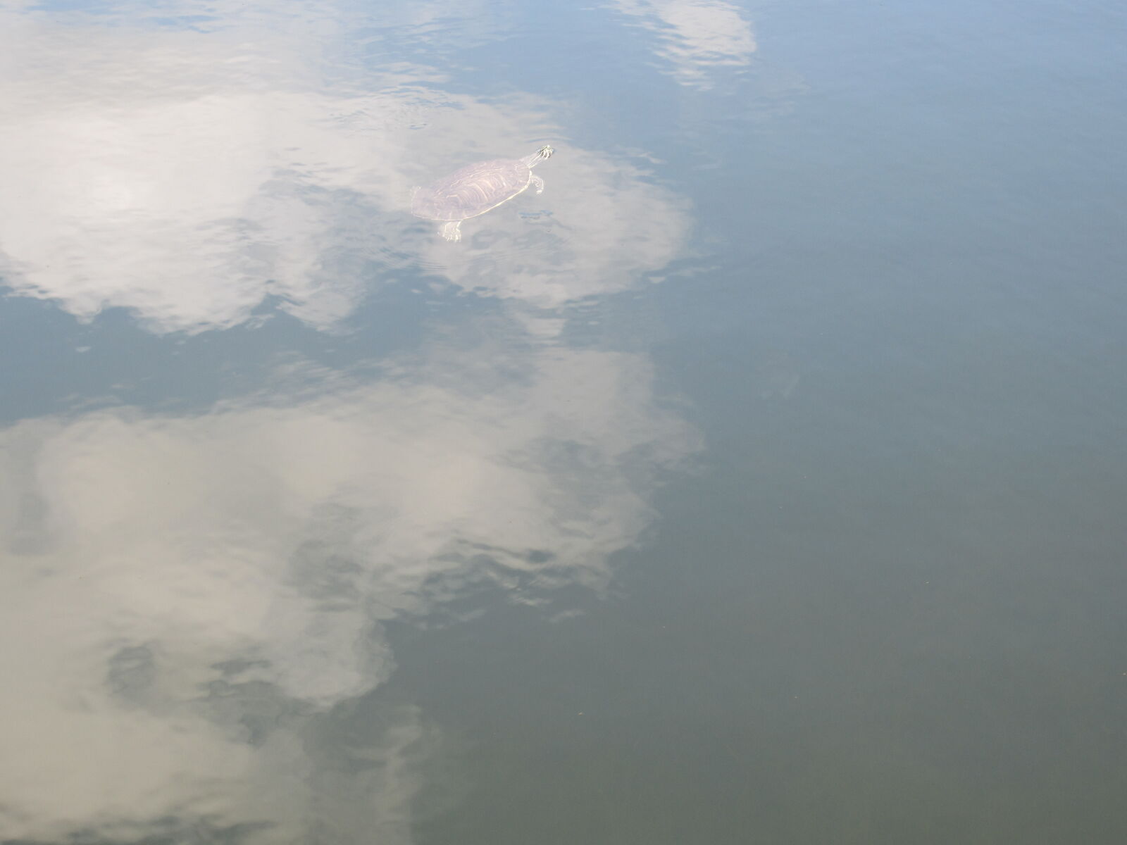 Canon PowerShot ELPH 300 HS (IXUS 220 HS / IXY 410F) sample photo. Aqua, cloud, nuvola, reflection photography