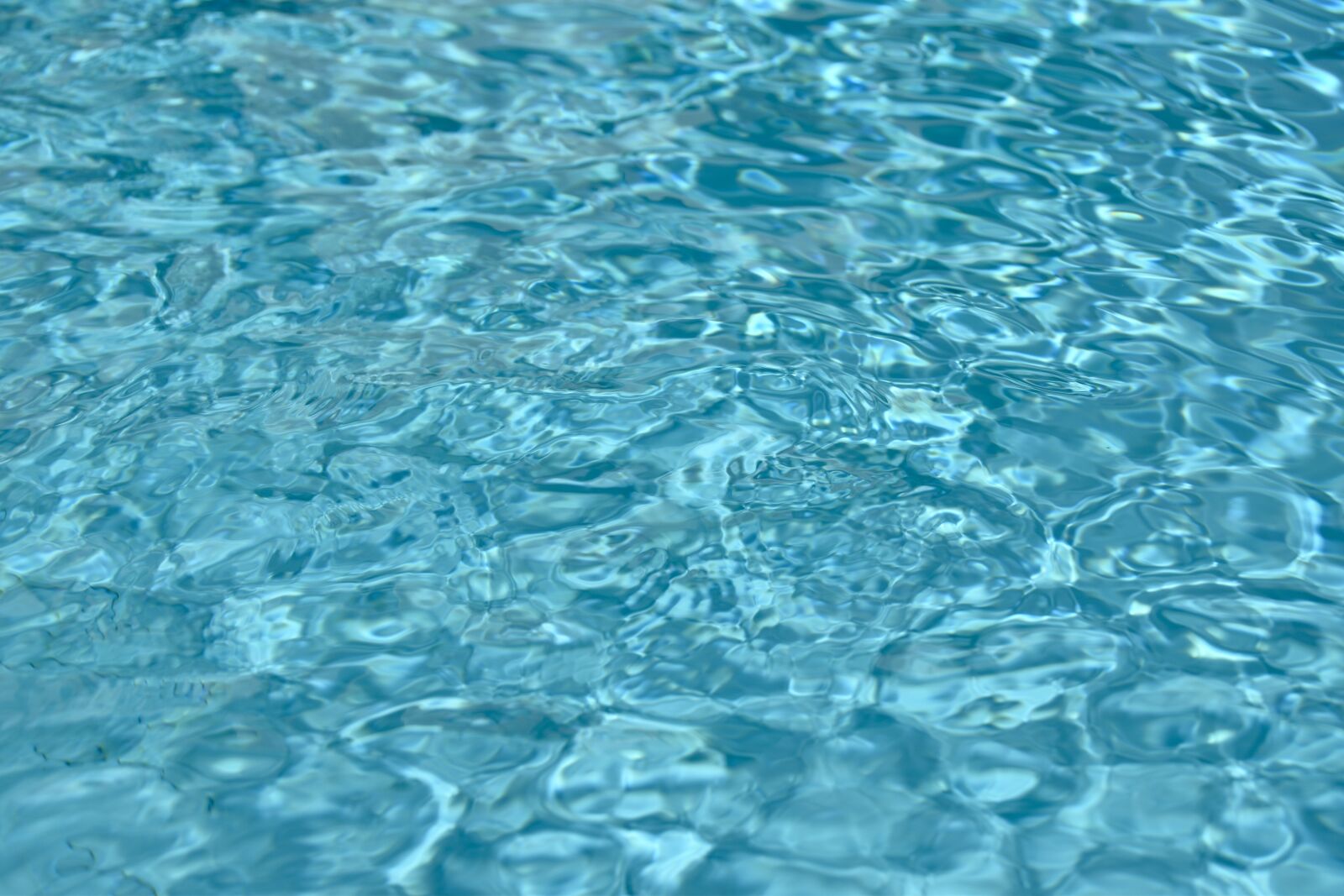 Nikon D5600 sample photo. Water, swimming pool, blue photography