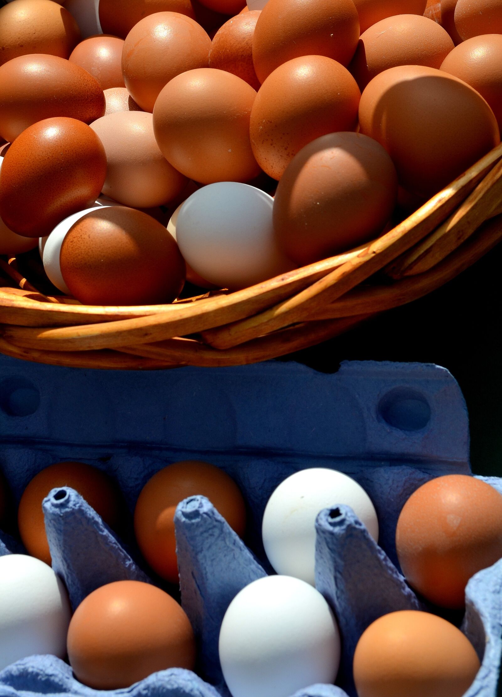 Nikon D5100 sample photo. Egg, hen's egg, egg photography