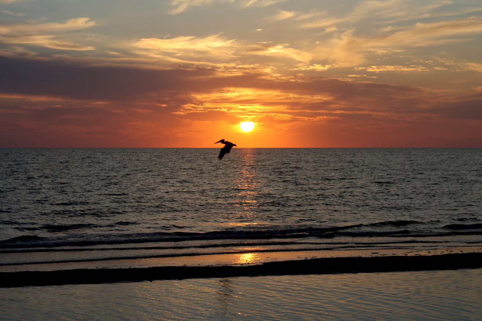 Canon EOS 1000D (EOS Digital Rebel XS / EOS Kiss F) sample photo. Sunset, florida, naples photography