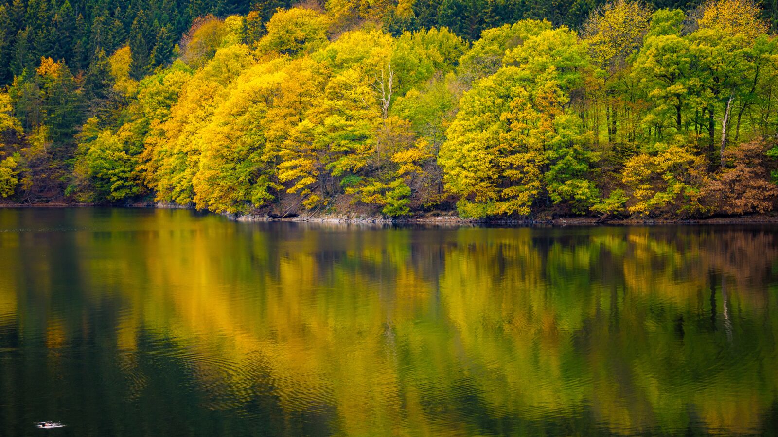 Sony a6000 sample photo. Lake, green, autumn photography